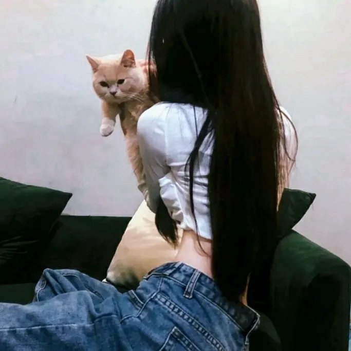 启蒙映画